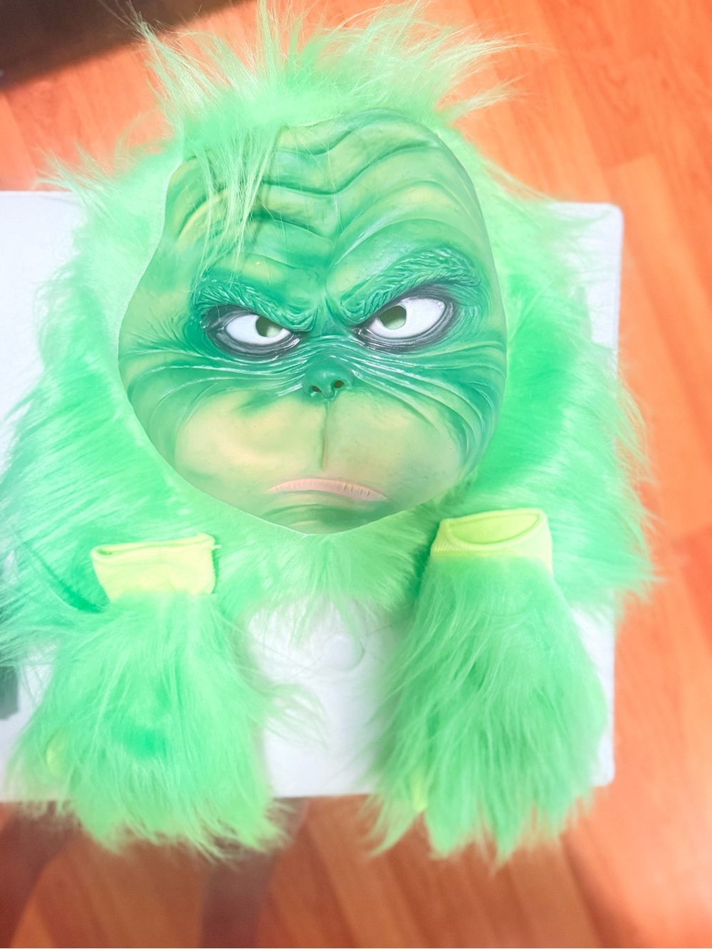 Green Grinch Kids Costume Mask and Gloves Set